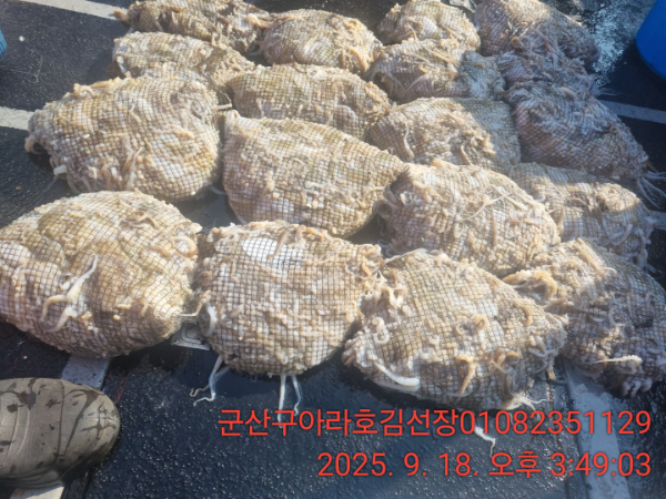 1000051731.jpg