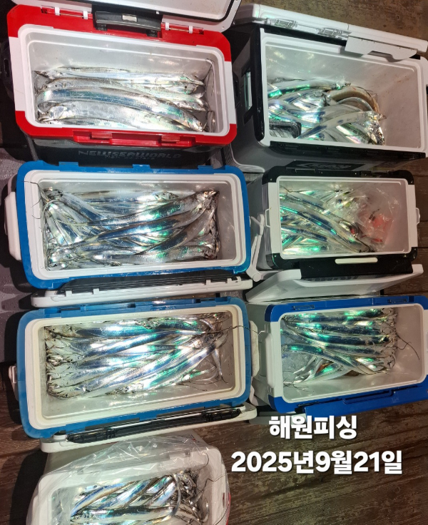 1000028095.jpg