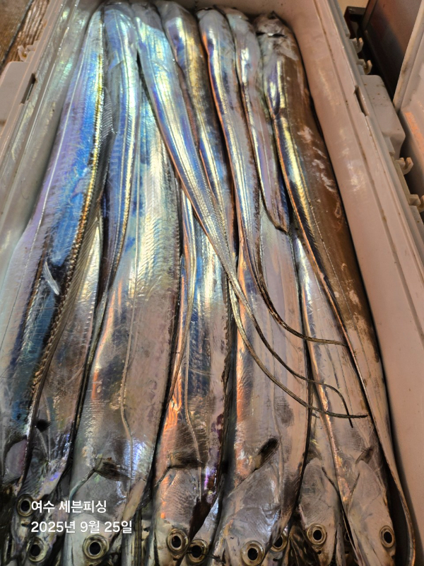 1000049116.jpg