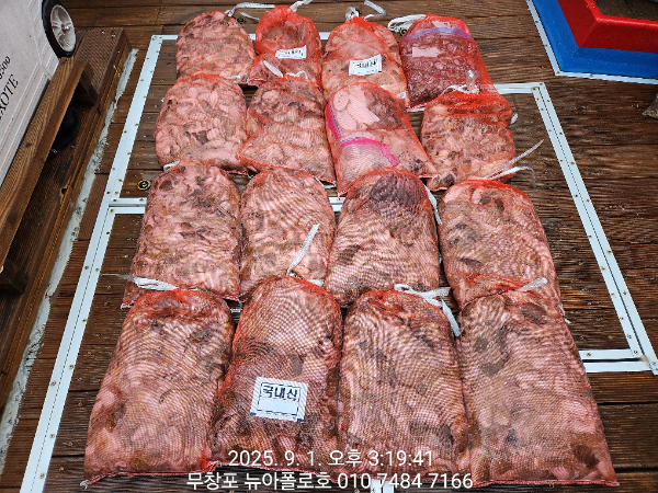 62bd39b19957ad478ca070ff6664ffd5.jpg