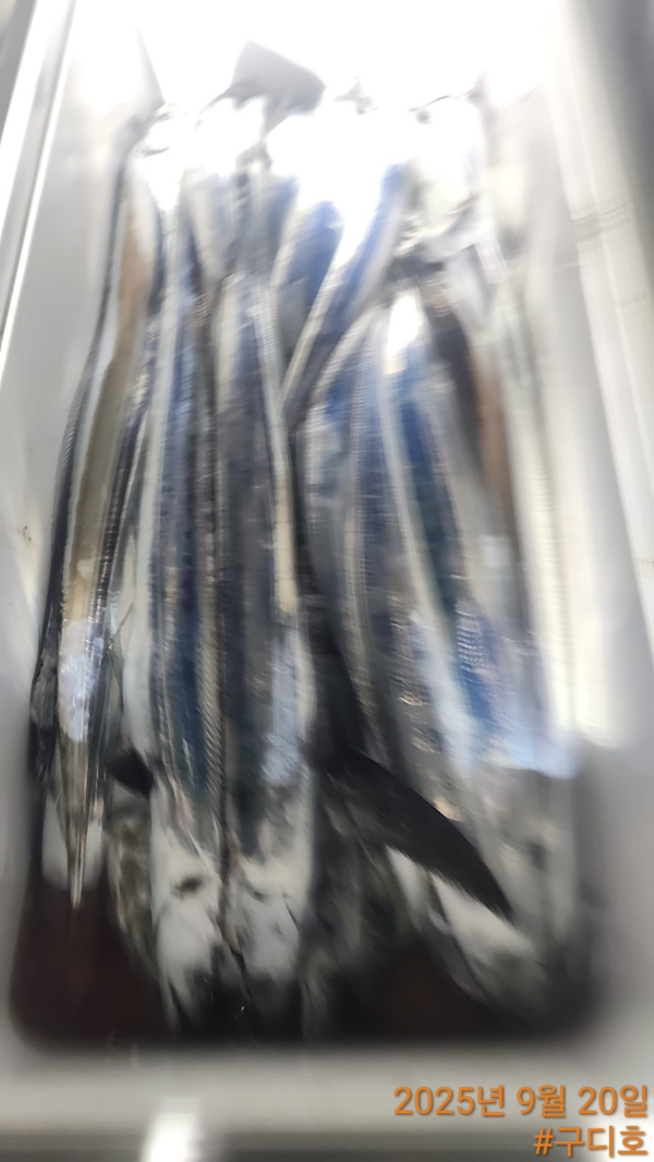 1000013645.jpg