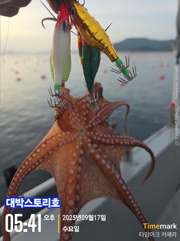 2025-09-17 05.41.03__(대박스토리호).jpg