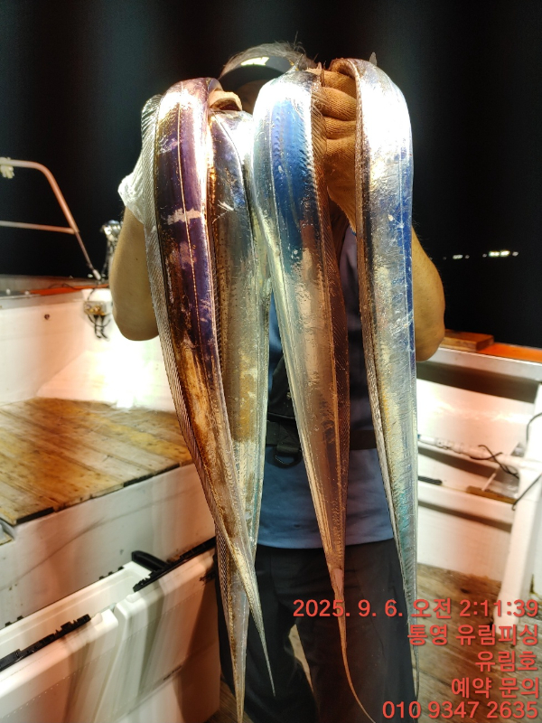 64d20ee80ff13fc8ceb580f326c94ae6.jpg