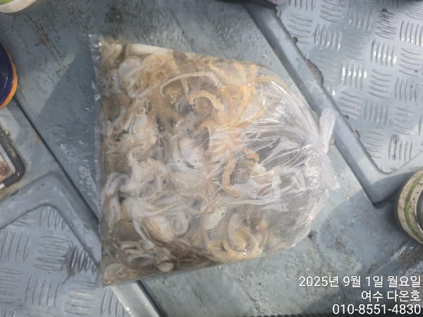 64f04ad5dc50ddf0b4e5322df68096cf.jpg