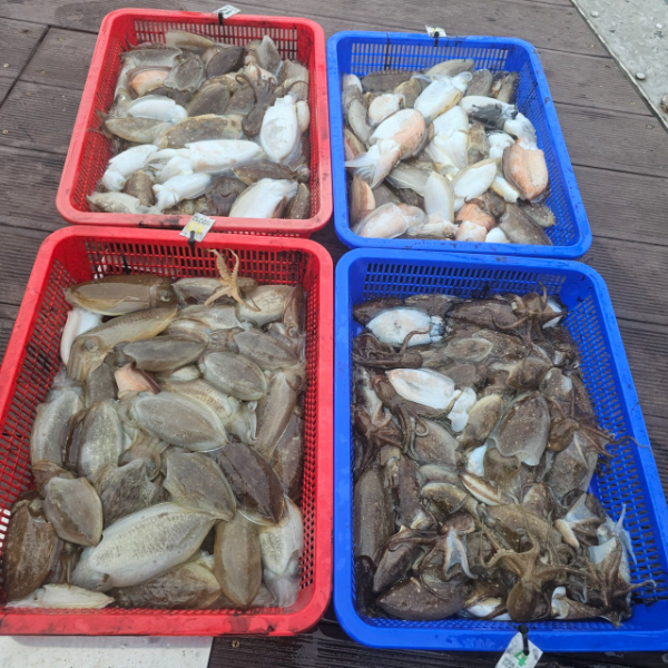 마검포 대한호(VIP)_사진_20250927_8.jpg