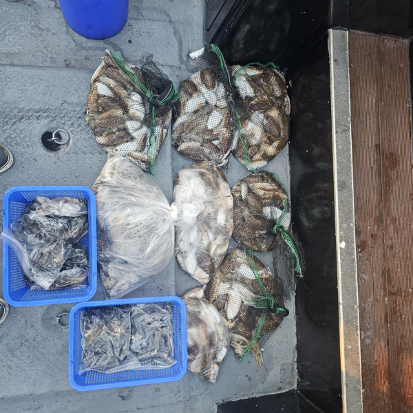 ꫛꫀꪝ✧‧˚ 태안 마검포 新출항호 .• _˚☀₊_사진_20250910_5.jpg