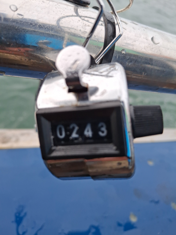1000006433.jpg