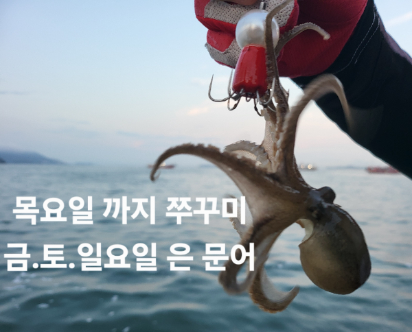 65c9c9834a1a38ff13356517378a7e72.jpg