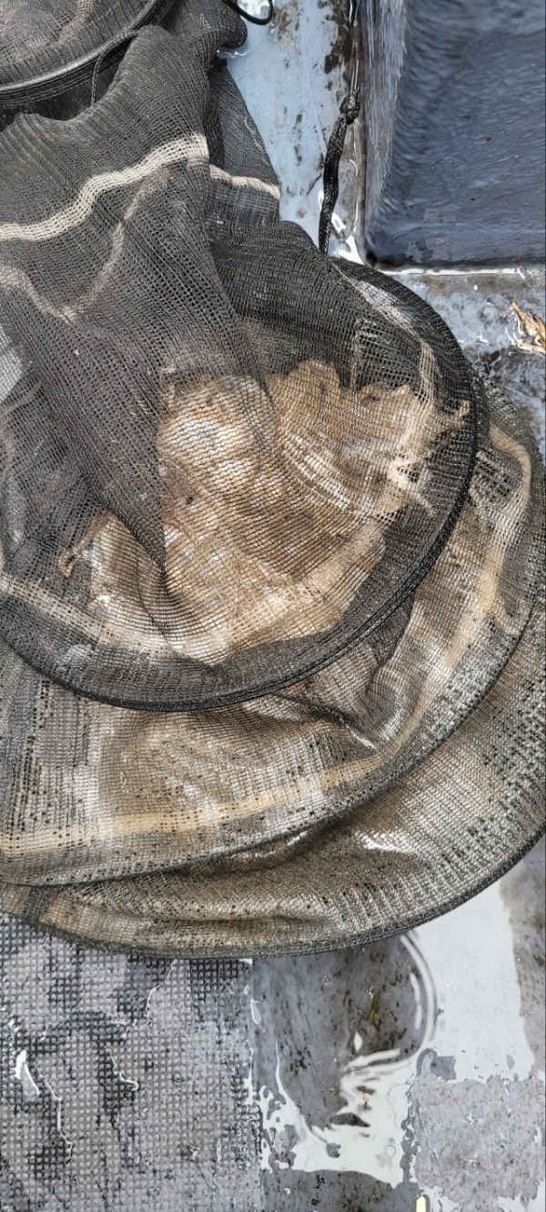 예지퀸호 농어외수질&어초낚시 경기인천권_사진_20250927_12.jpg