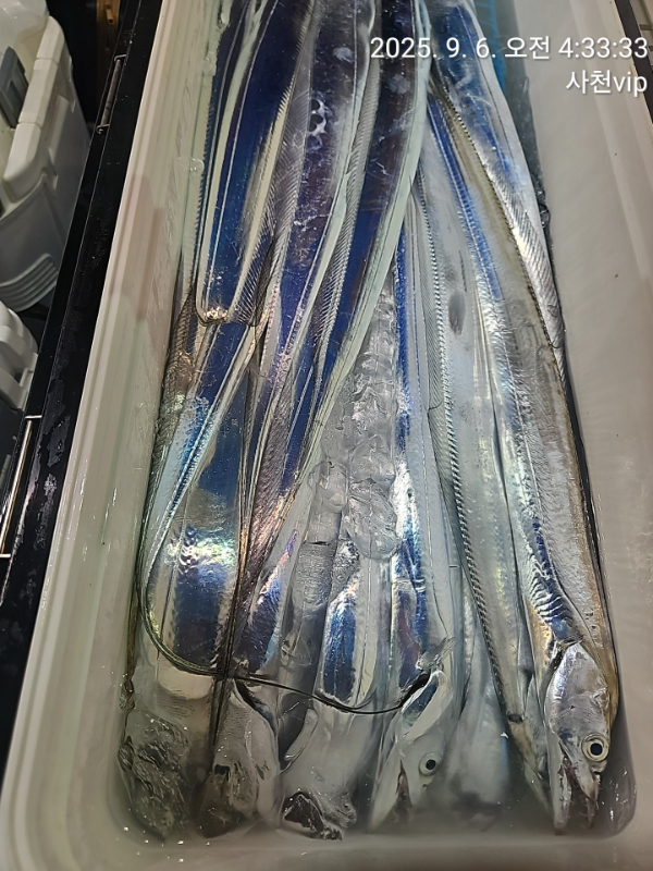 1757107559530.jpg