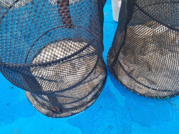 KakaoTalk_20250919_183444217_05.jpg