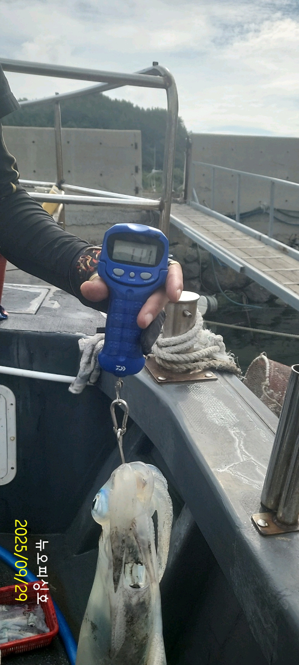 DateCamera0929100552.jpg