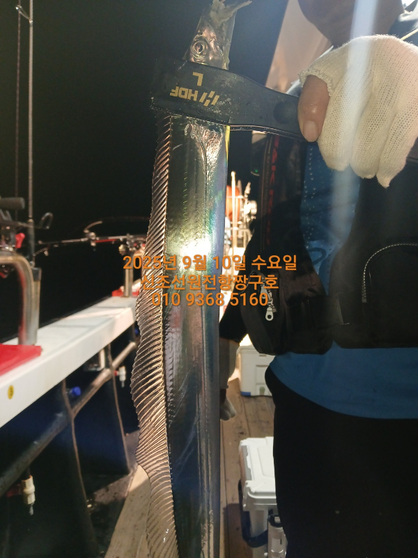 KakaoTalk_20250911_041702052_02.jpg
