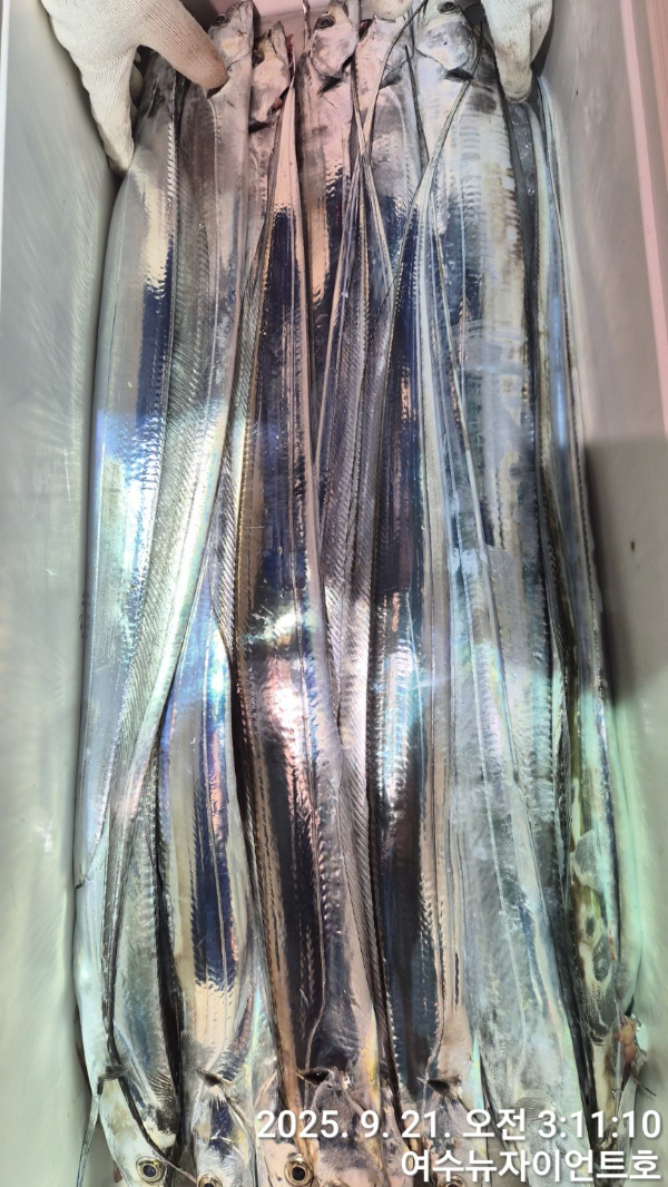 1758404953507-2.jpg