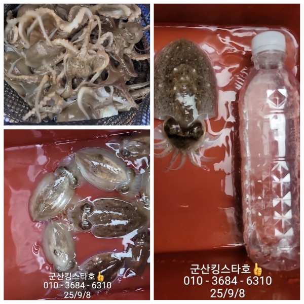 PhotoCollage_1757296056692.jpg