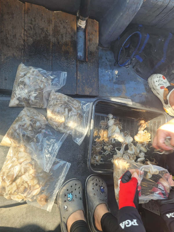 예지퀸호 농어외수질&어초낚시 경기인천권_사진_20250914_8.jpg