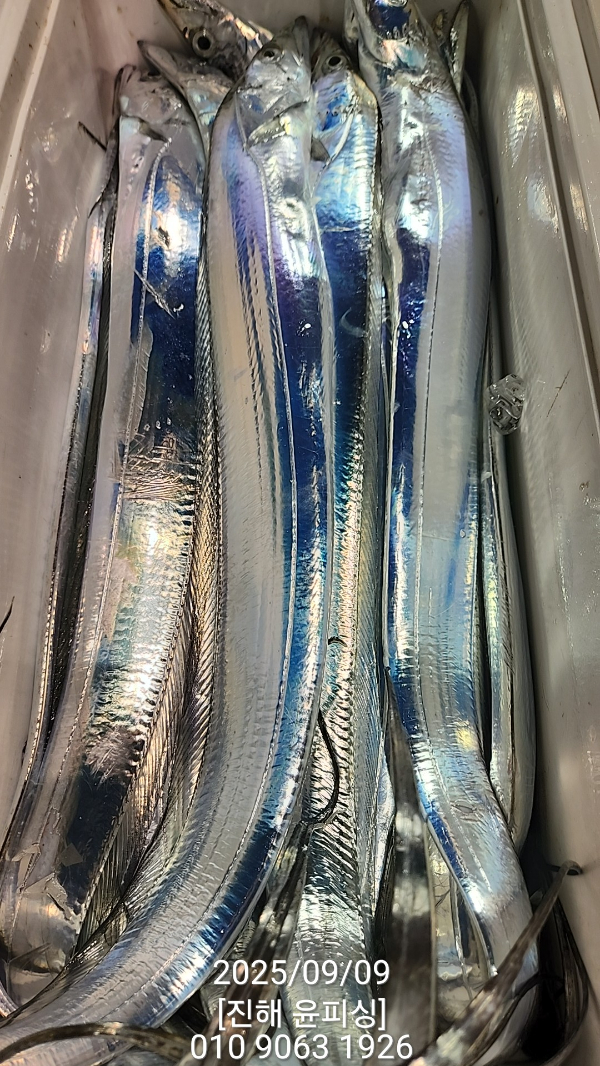 6889435021f3337e41b71534d558c6b6.jpg