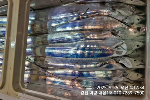 68e9310e0dbbb43a1f6e288dac86a6c6.jpg
