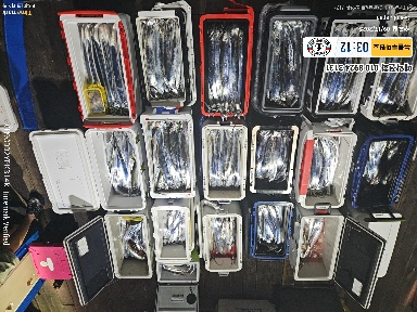 2025-09-17 03.12.03_Japan_(제목-뉴블루마린호)_(예약전화 010 8924 3131).jpg