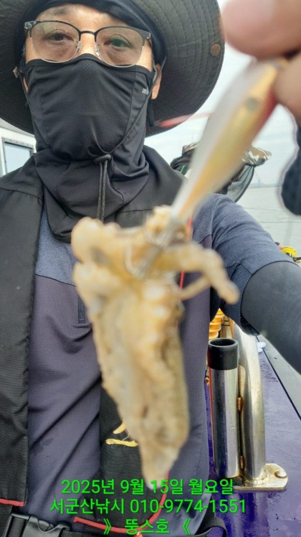 군산 선상낚시, 바다낚시 출조 전문 ☆서군산낚시☆_사진_20250915_6.jpg