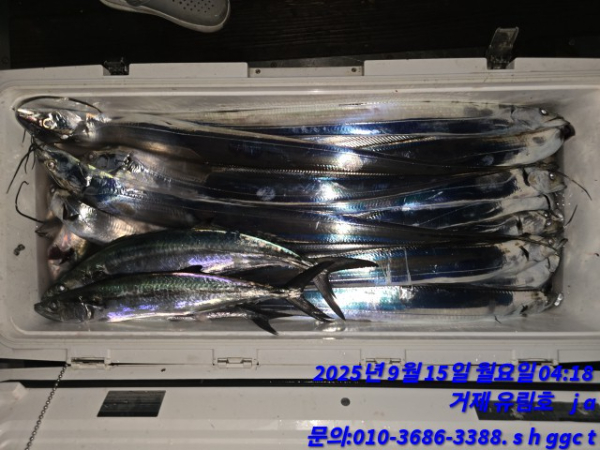 6a51a71bfdc4a80fa3d467c8bdc99762.jpg