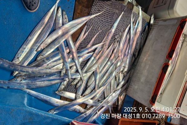 6a9e74cb075a5aa8aadd19daa707b47c.jpg