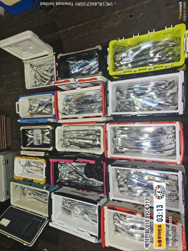 2025-09-04 03.13.31_Japan_(제목-뉴블루마린호)_(예약전화 010 8924 3131).jpg