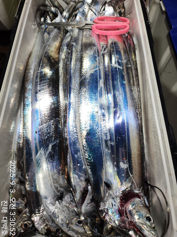 KakaoTalk_20250903_080317966_15.jpg