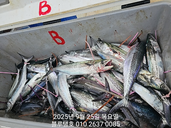 20250925_102729.jpg