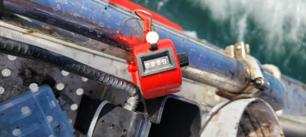 예지퀸호 농어외수질&어초낚시 경기인천권_사진_20250914_15.jpg