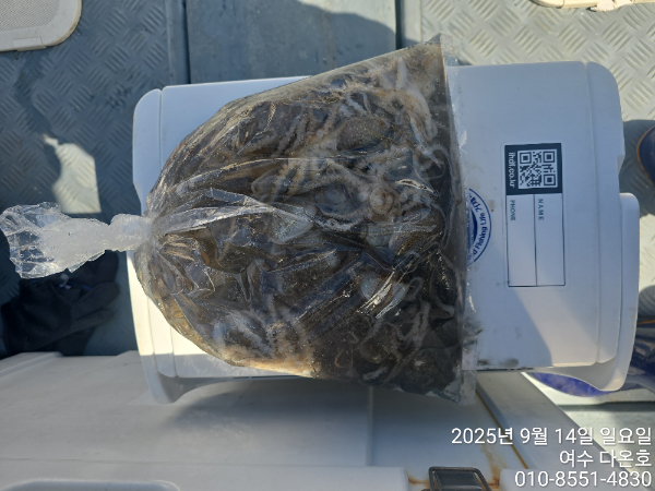 6af543545a2075dbef1615f6cd64874e.jpg