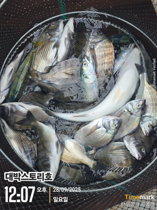 2025-09-28 12.07.41__(대박스토리호).jpg