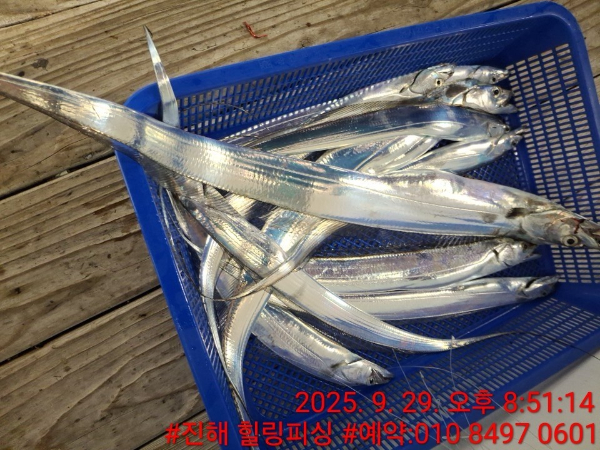 KakaoTalk_20250930_100825454_06.jpg
