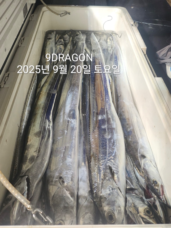 F897D029-D6EB-4DD1-B803-E1FF6EA10F57.jpeg