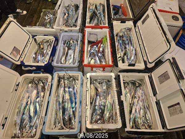 505DF570-E2CF-4D22-A054-E2C33F61027C.jpeg