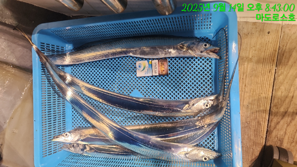 6c105fdbdc9d9a63ef191b9b4a3aa145.jpg