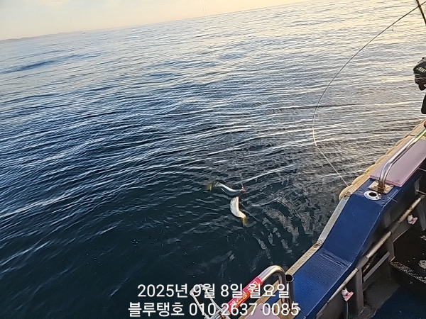 20250908_063033.jpg