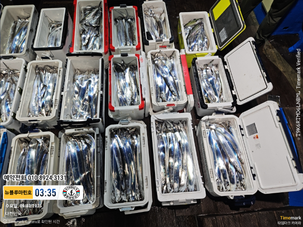 2025-09-03 03.35.49_대한민국_(제목-뉴블루마린호)_(예약전화 010 8924 3131).jpg