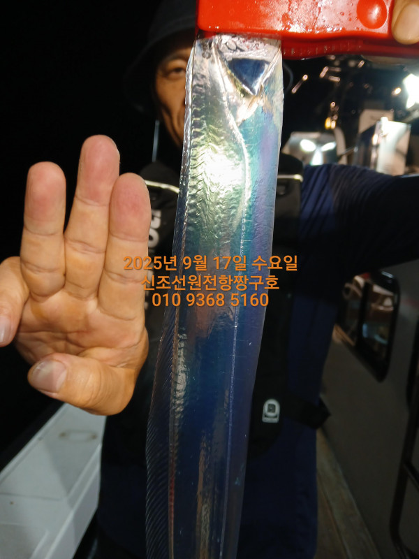 KakaoTalk_20250917_021051504.jpg
