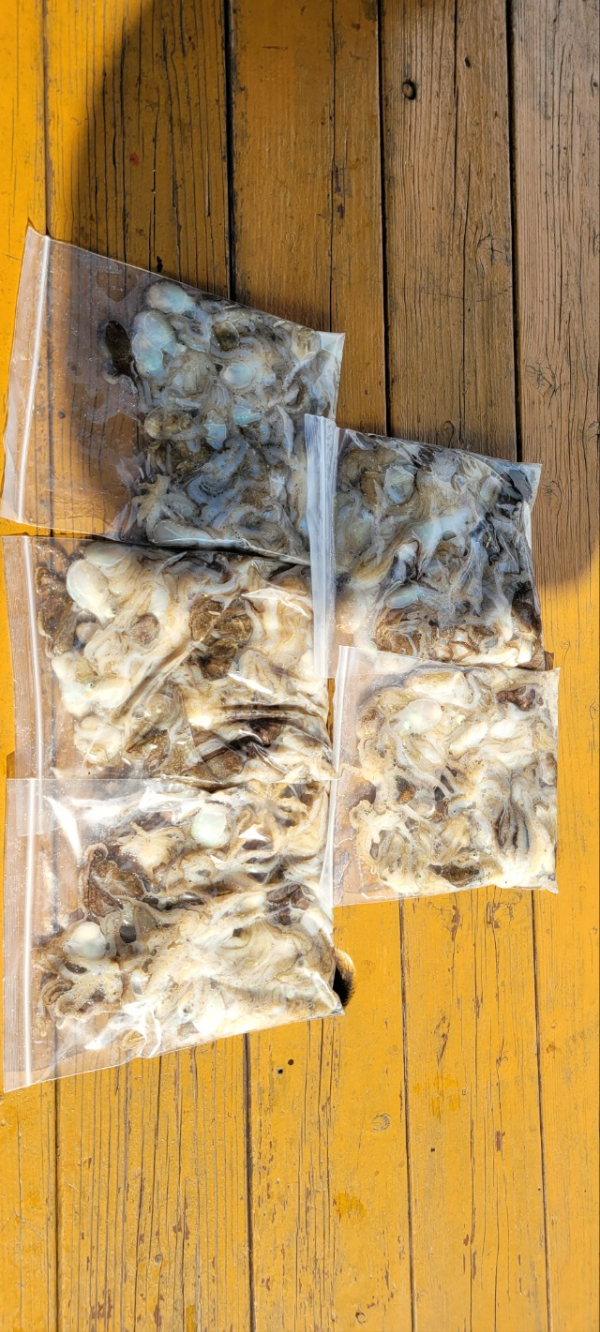 예지퀸호 농어외수질&어초낚시 경기인천권_사진_20250914_4.jpg