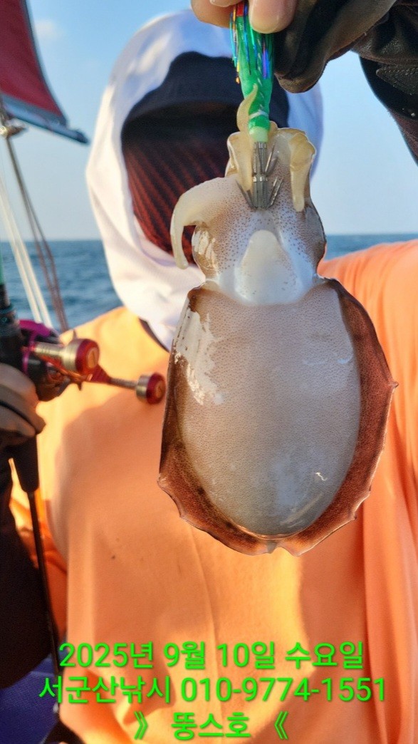 군산 선상낚시, 바다낚시 출조 전문 ☆서군산낚시☆_사진_20250910_9.jpg