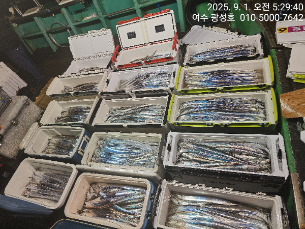 KakaoTalk_20250901_152431635_16.jpg