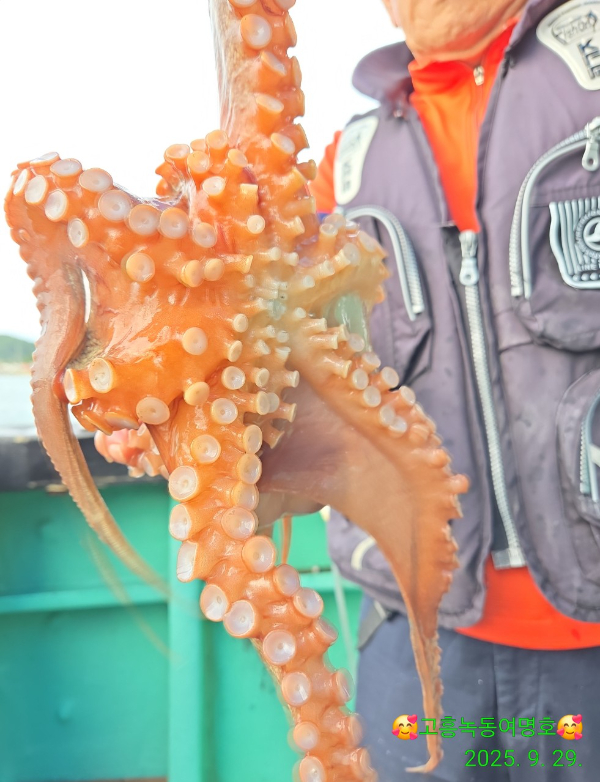 쎄븐피싱클럽(선상 버스출조전문)_사진_20250930_13.jpg