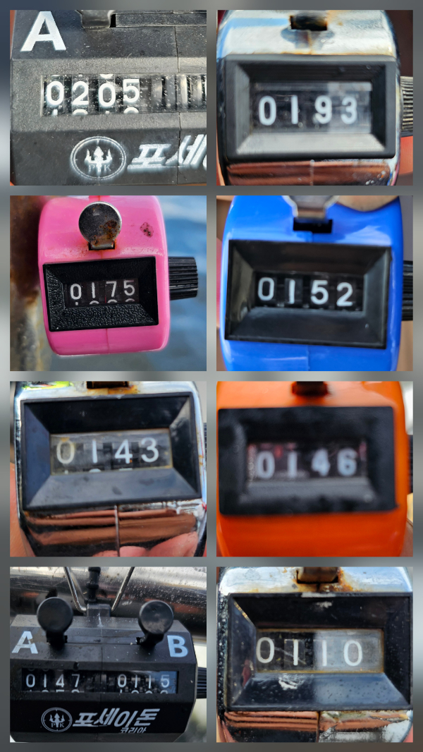 1000043234.jpg