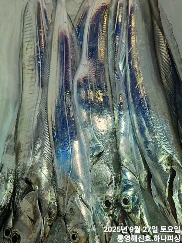 1758910136465.jpg