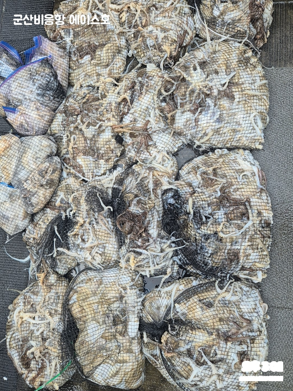 6f59e33c21fc0fe51543320f6609d38e.jpg
