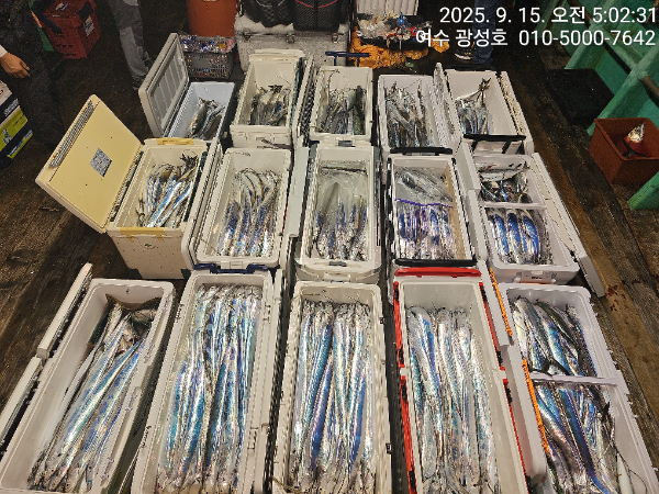 KakaoTalk_20250915_100834010_09.jpg