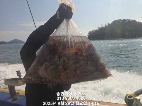 6ffd3b454e11d5133ad4790edb16404a.jpg