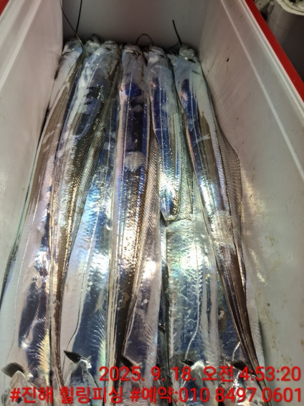 KakaoTalk_20250918_142033159_08.jpg