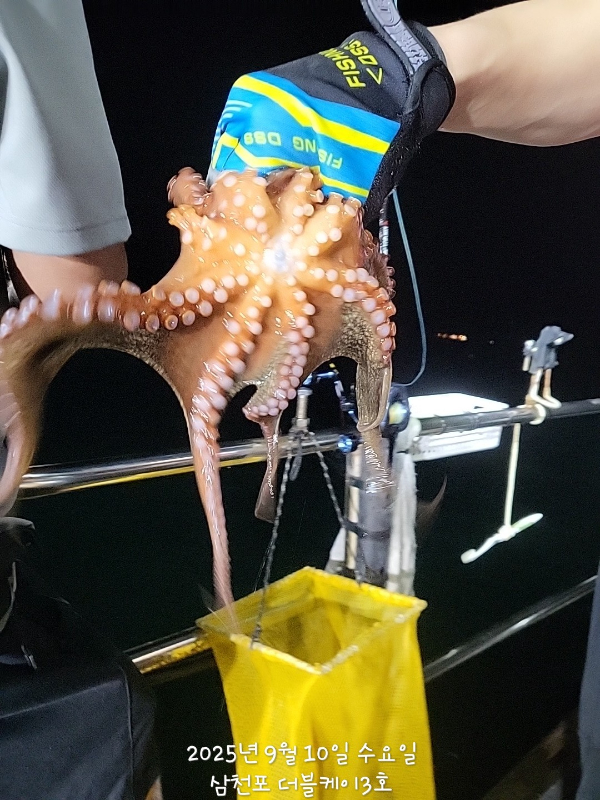 KakaoTalk_20250910_201510317_01.jpg